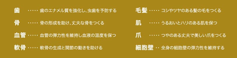 コラーゲンは、歯のエナメル質を強化し、虫歯を予防、コシやツヤのある髪の毛をつくる、
骨の形成を助け、丈夫な骨をつくる、肌にはうるおいとハリを保つ、血管の弾力性を維持し血液の温度を保つ、
つやのある丈夫で美しい爪をつくる、軟骨の生成と関節の動きを助ける、全身の細胞壁の弾力性を維持する効果があります。