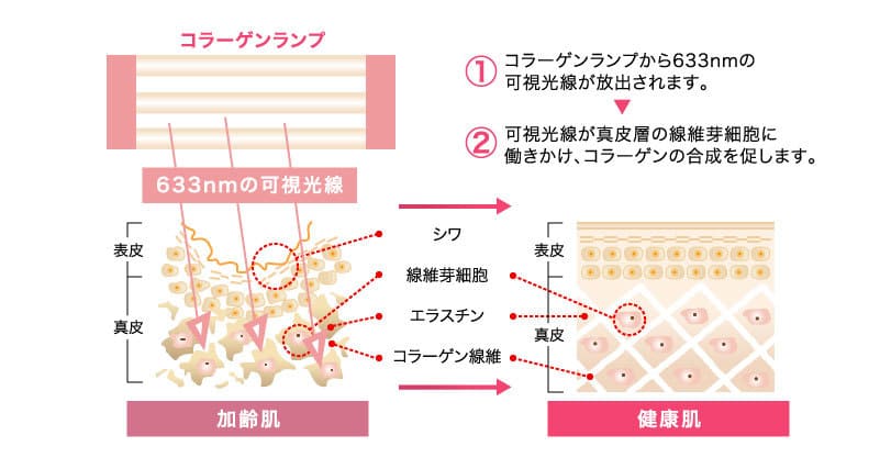 コラーゲンランプの仕組み