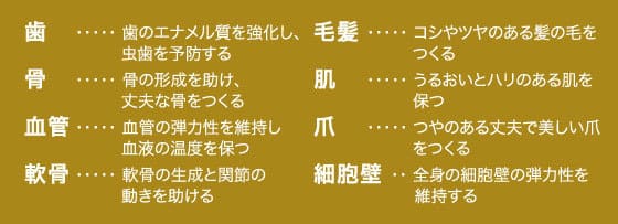 コラーゲンは、歯のエナメル質を強化し、虫歯を予防、コシやツヤのある髪の毛をつくる、
骨の形成を助け、丈夫な骨をつくる、肌にはうるおいとハリを保つ、血管の弾力性を維持し血液の温度を保つ、
つやのある丈夫で美しい爪をつくる、軟骨の生成と関節の動きを助ける、全身の細胞壁の弾力性を維持する効果があります。