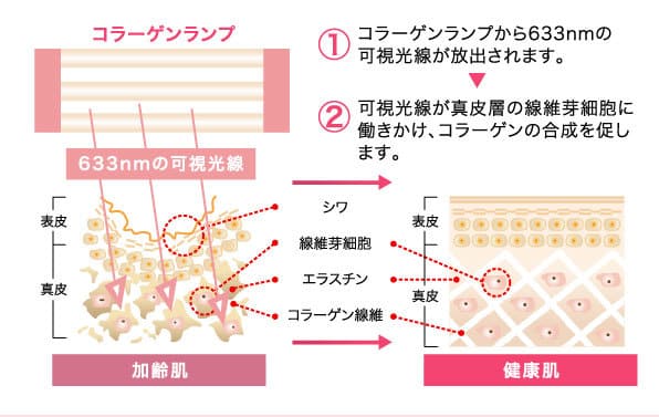 コラーゲンランプの仕組み