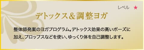 デトックス＆調整ヨガ　整体師発案のヨガプログラム。デトックス効果の高いポーズに加え、ヨガブロック等を使い、ゆっくり体を自己調整します。
