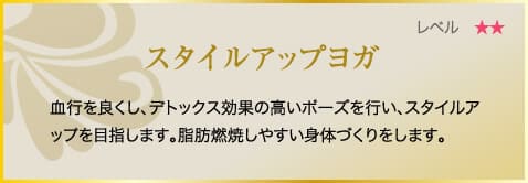 スタイルアップヨガ　血行を良くし、デトックス効果の高いポーズを行い、スタイルアップを目指します。脂肪燃焼しやすい身体づくりをします。